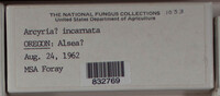 Image Associated With the Occurence
